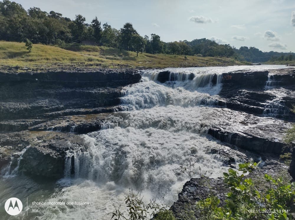 Conservation efforts